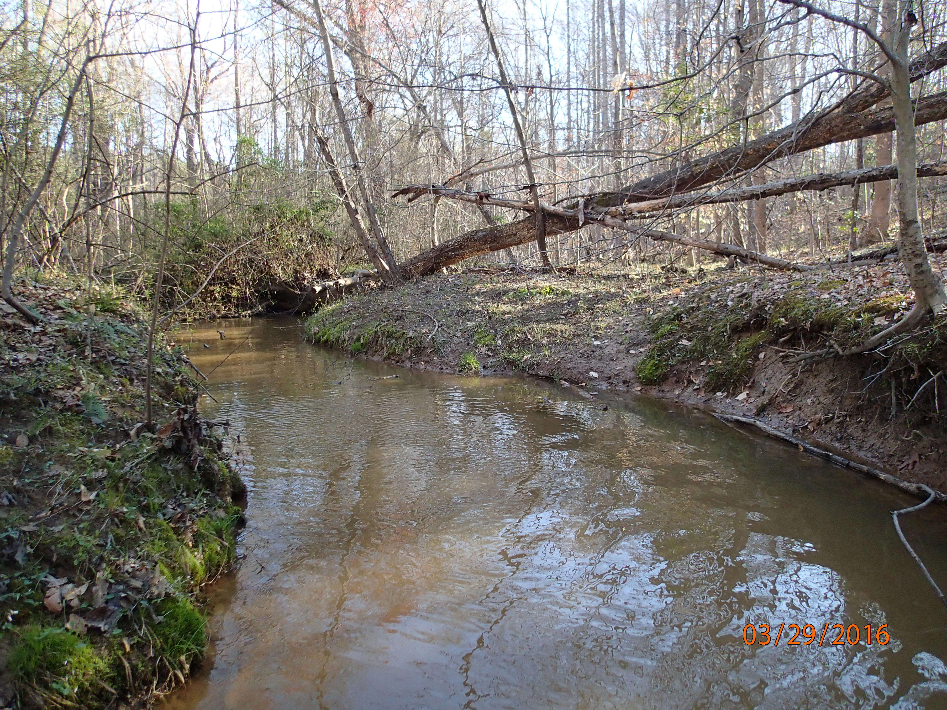 Field photo showing stream conditions at site BRET-103-R-2016-MidpointUpstream
