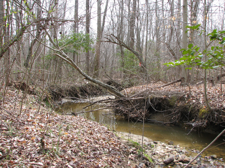 Field photo showing stream conditions at site BRET-104-B-2007-1
