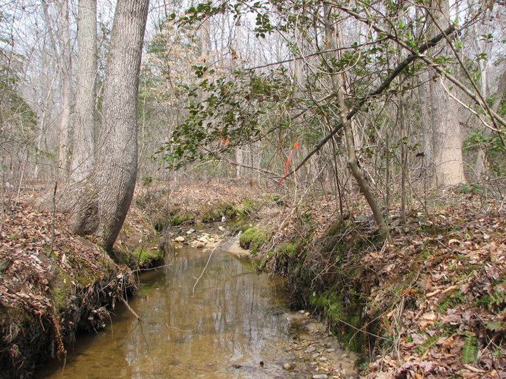 Field photo showing stream conditions at site BRET-104-B-2007-2