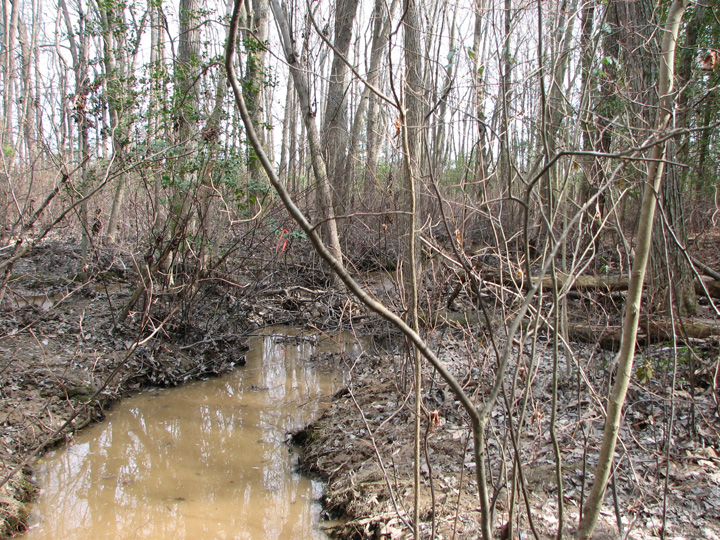 Field photo showing stream conditions at site BRET-106-B-2007-1