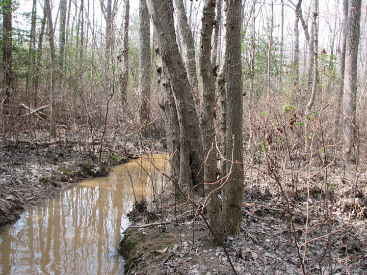 Field photo showing stream conditions at site BRET-106-B-2007-2