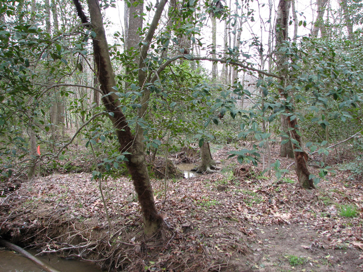 Field photo showing stream conditions at site BRET-107-B-2007-1