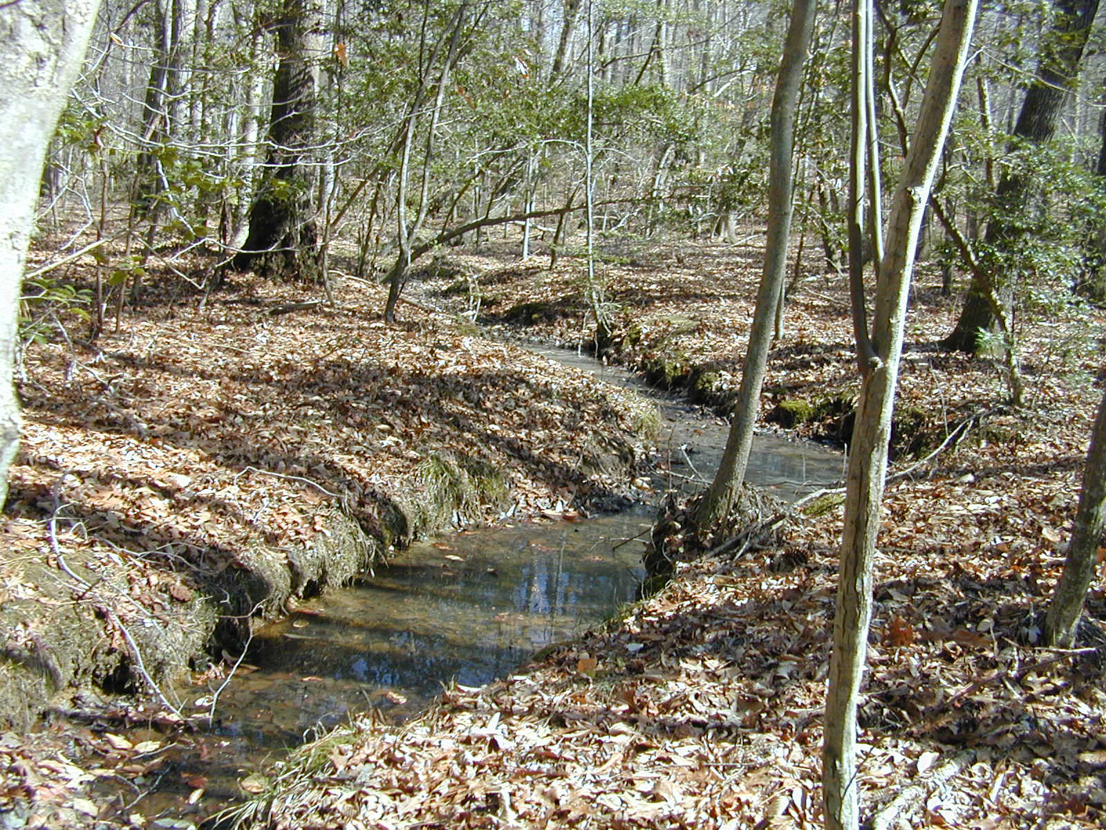 Field photo showing stream conditions at site BRET-115-R-2002-381