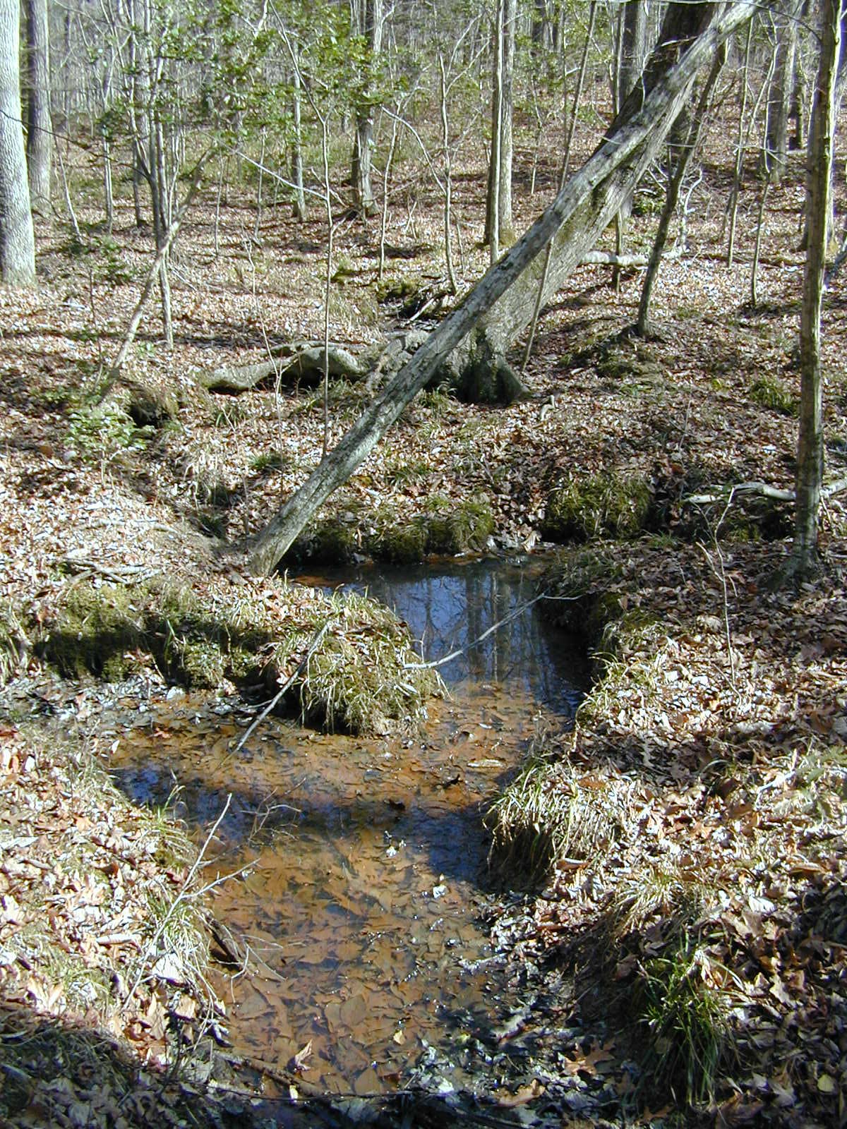 Field photo showing stream conditions at site BRET-115-R-2002-383