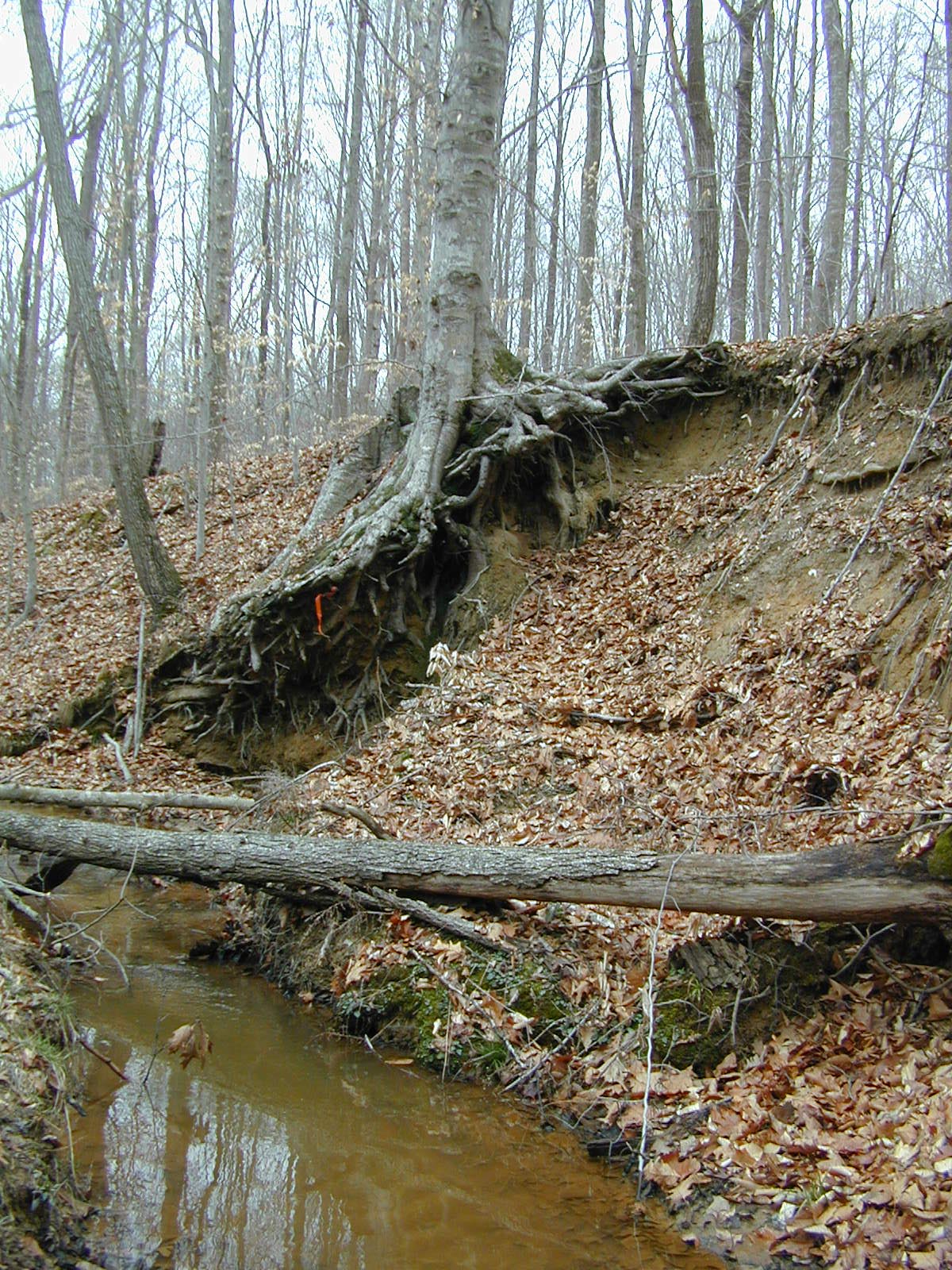 Field photo showing stream conditions at site BRET-117-R-2002-430