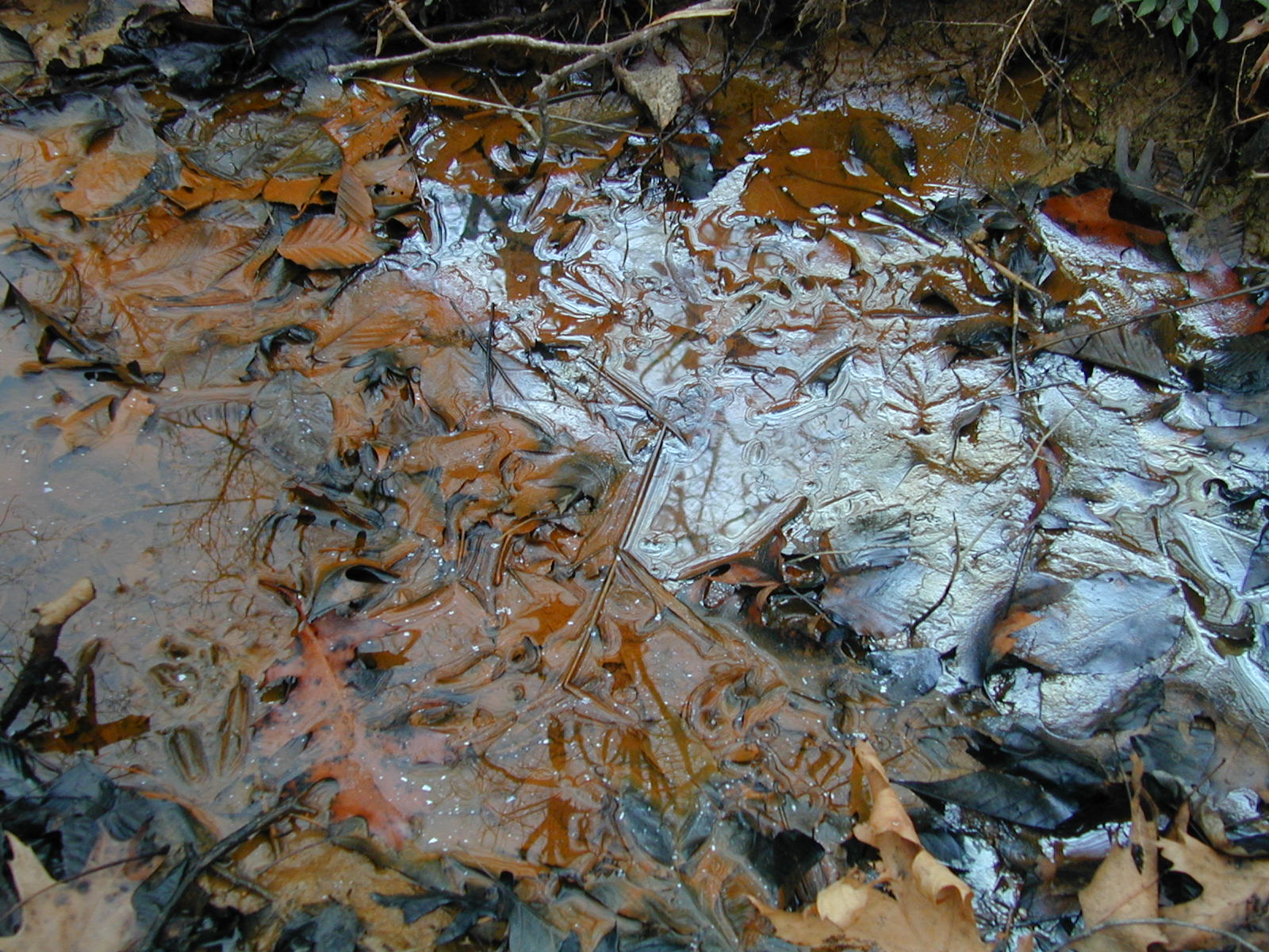 Field photo showing stream conditions at site BRET-117-R-2002-431