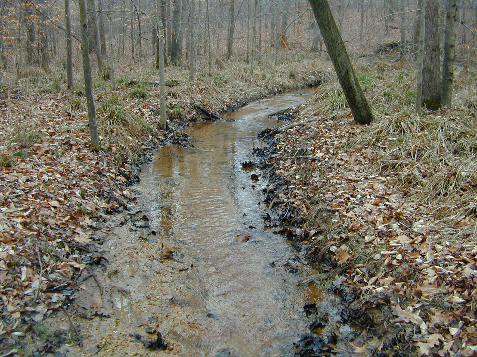 Field photo showing stream conditions at site BRET-117-R-2002-432