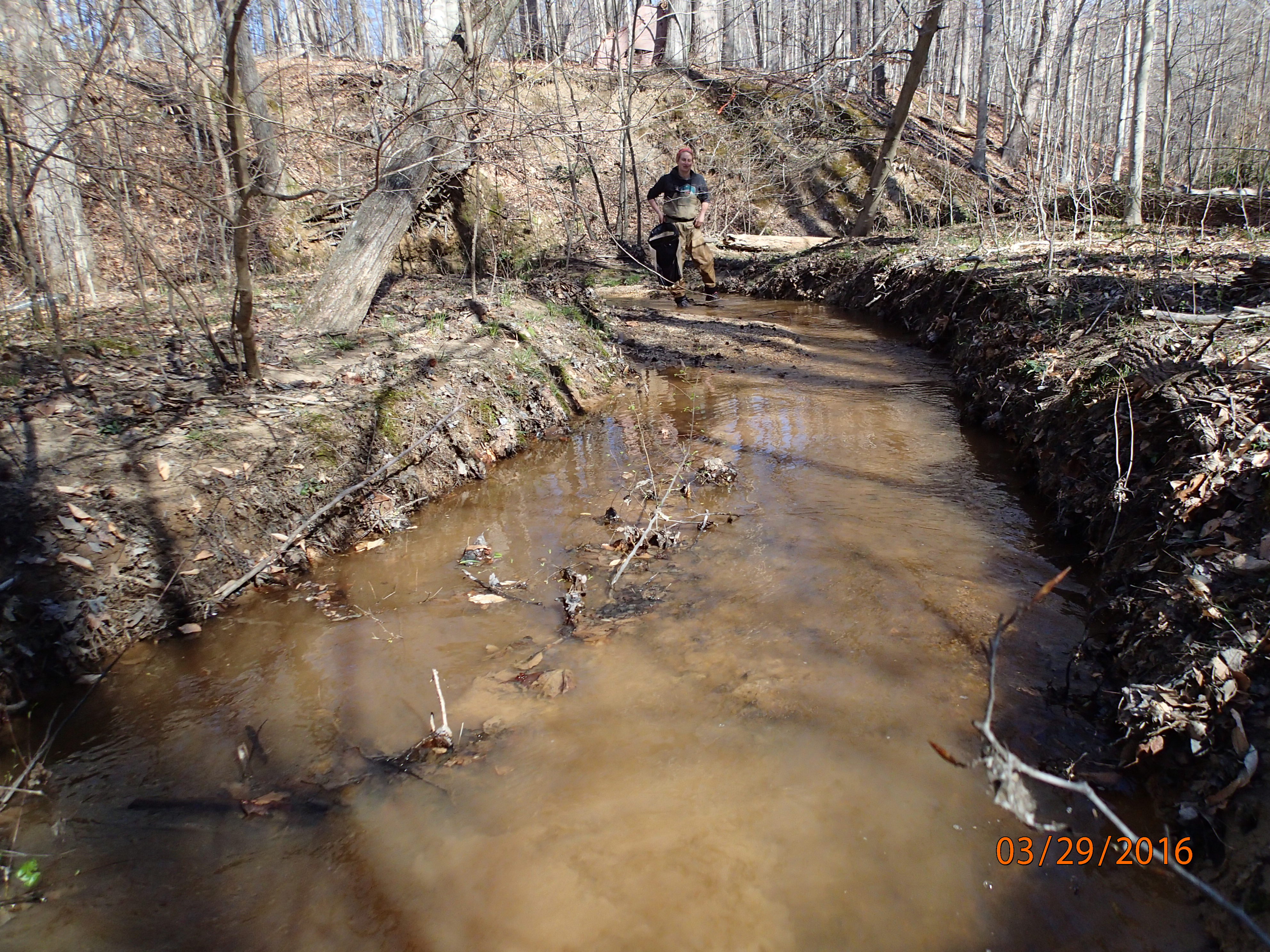 Field photo showing stream conditions at site BRET-117-R-2016-MidpointDownstream