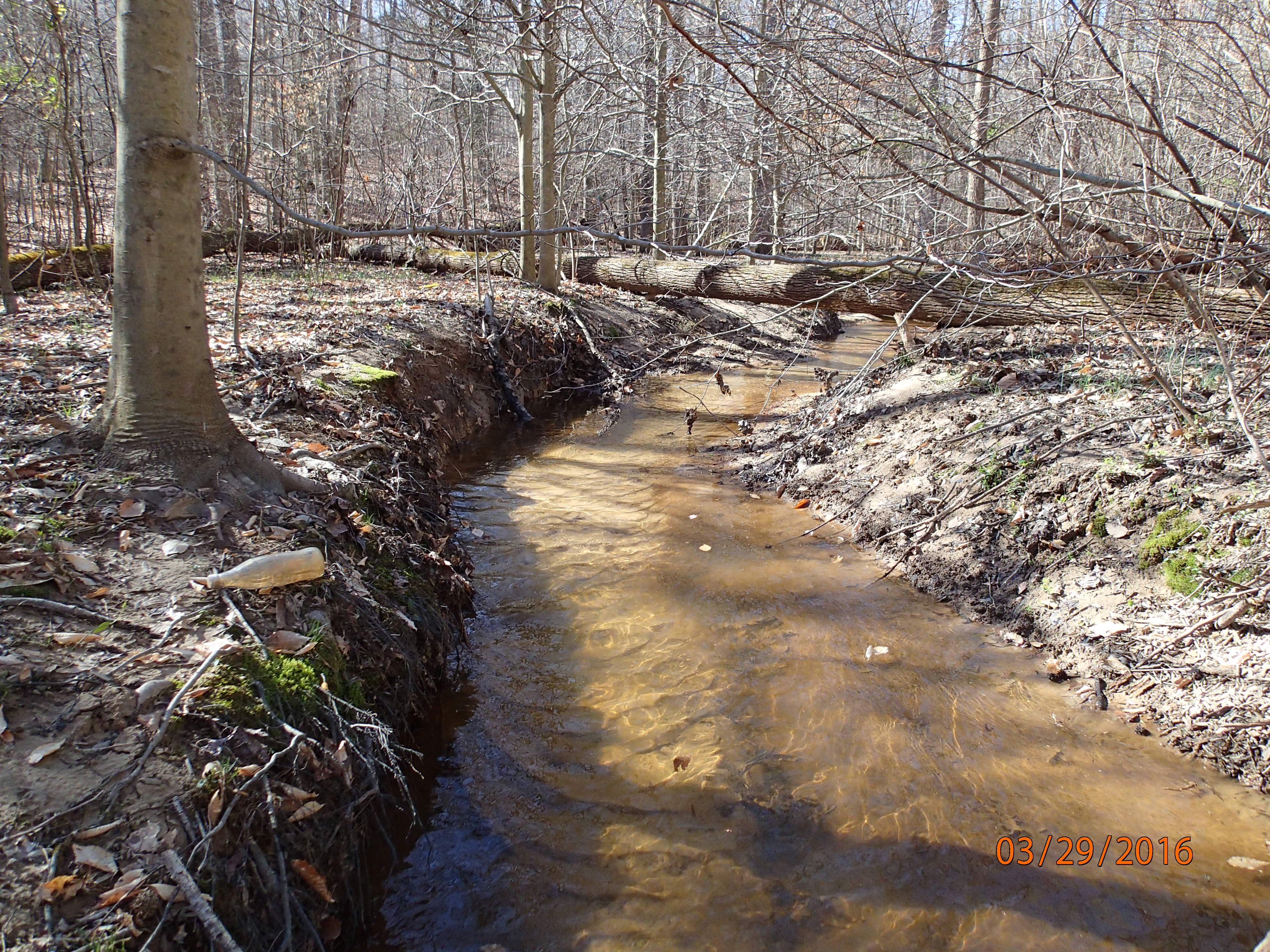 Field photo showing stream conditions at site BRET-117-R-2016-MidpointUpstream