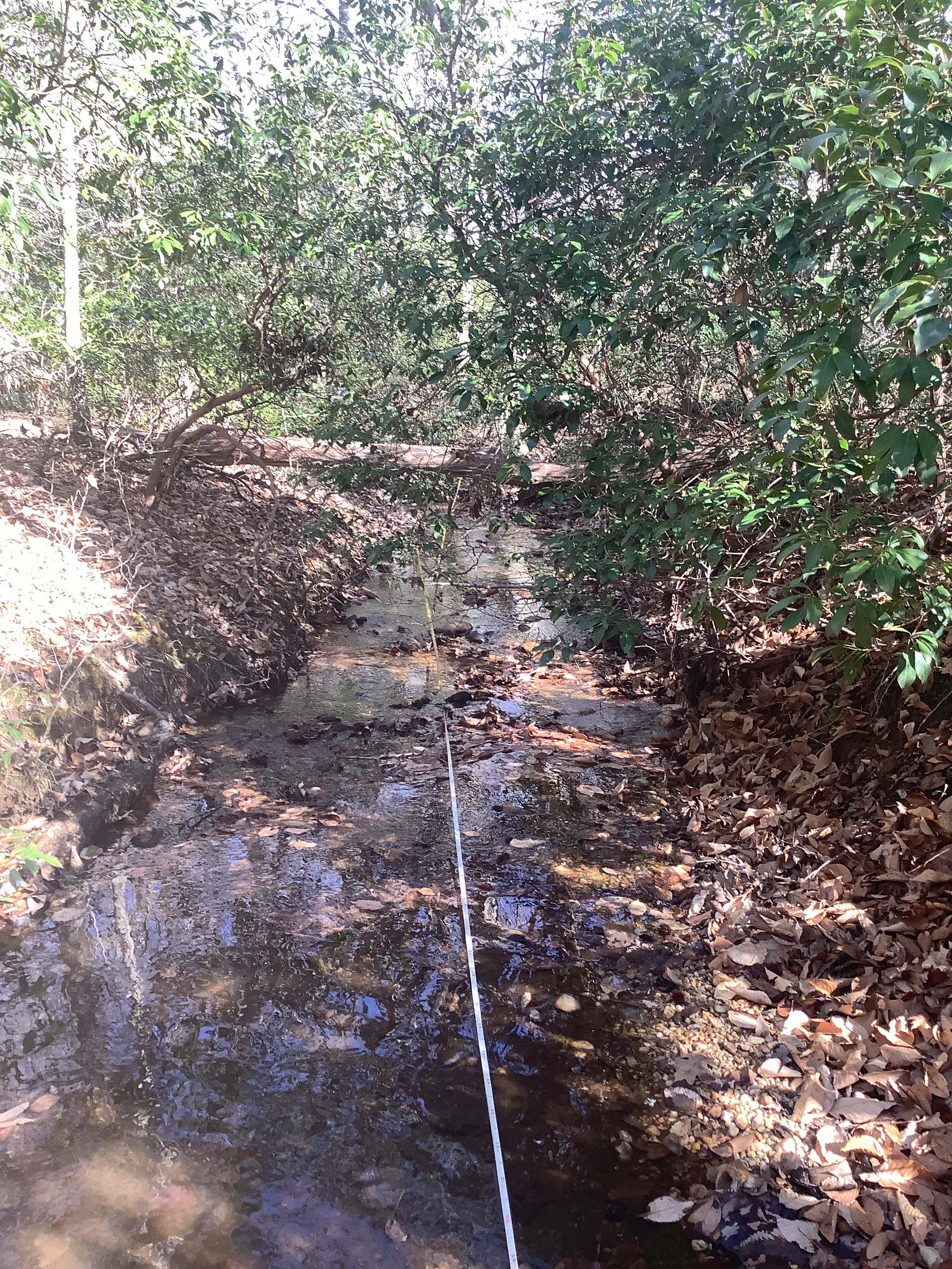 Field photo showing stream conditions at site BRET-124-R-2023_Midpoint_facing_downstream_