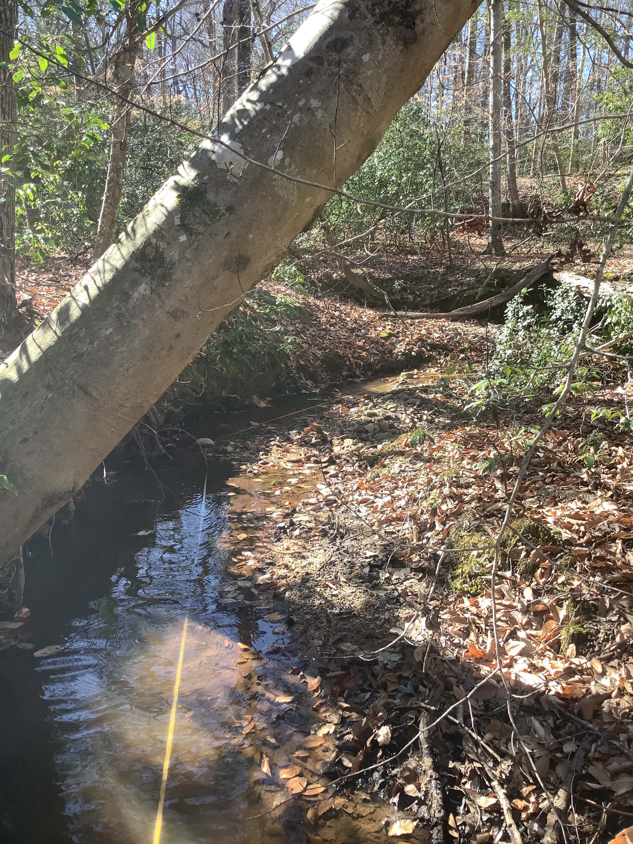 Field photo showing stream conditions at site BRET-124-R-2023_Midpoint_facing_upstream_
