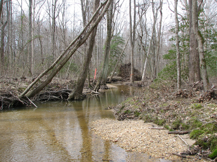 Field photo showing stream conditions at site BRET-201-B-2007-1