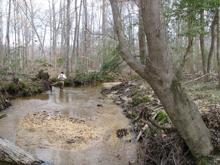 Field photo showing stream conditions at site BRET-201-B-2007-2