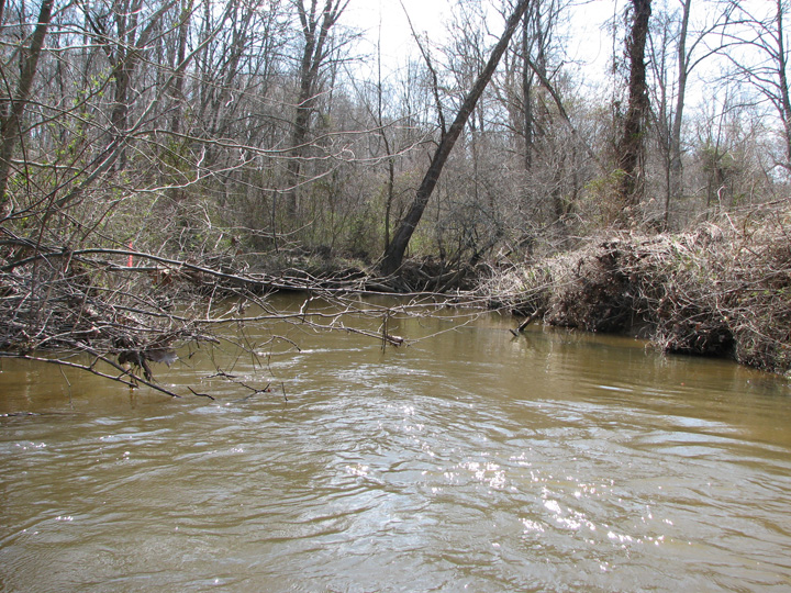 Field photo showing stream conditions at site BRET-404-R-2007-1