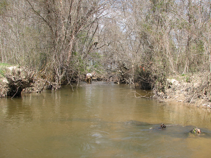 Field photo showing stream conditions at site BRET-404-R-2007-2