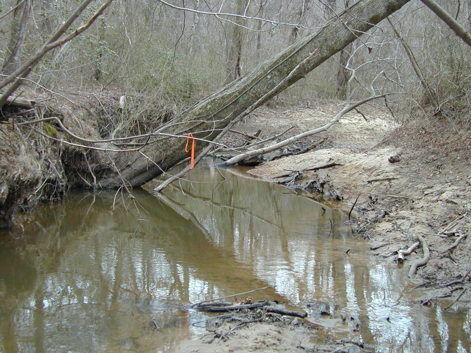 Field photo showing stream conditions at site BRET-408-R-2002-389