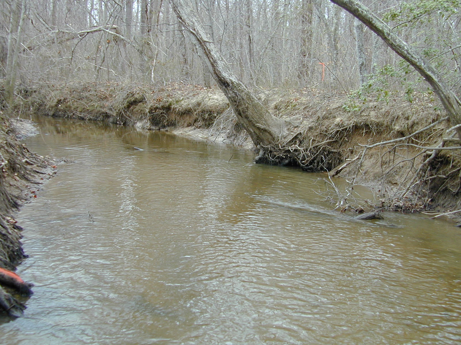 Field photo showing stream conditions at site BRET-408-R-2002-390