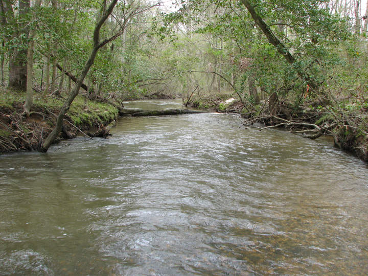 Field photo showing stream conditions at site BRET-450-H-2007-1