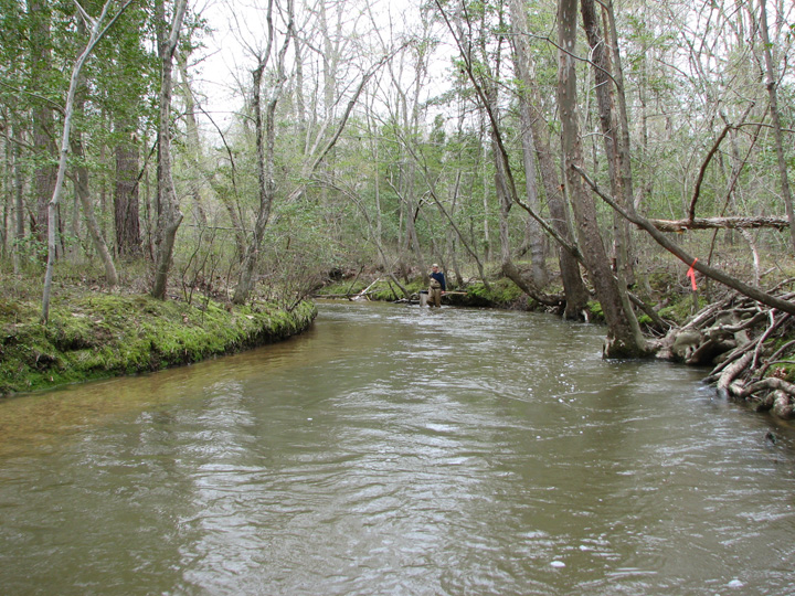 Field photo showing stream conditions at site BRET-450-H-2007-2