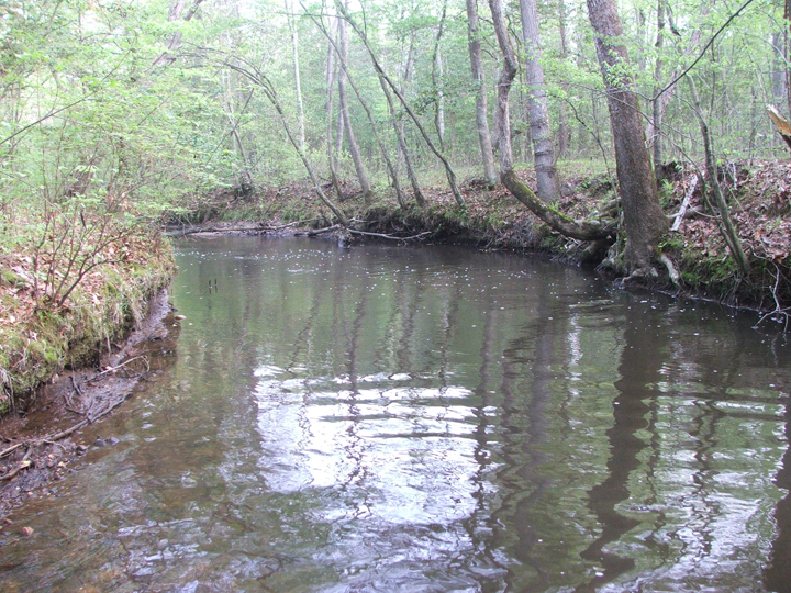 Field photo showing stream conditions at site BRET-450-H-2008-1