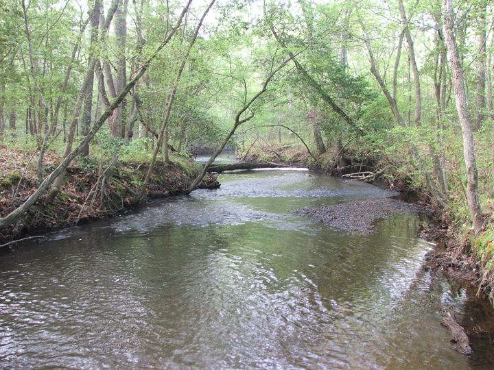 Field photo showing stream conditions at site BRET-450-H-2008-2