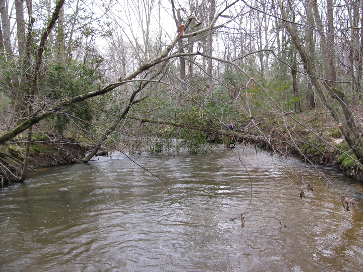 Field photo showing stream conditions at site BRET-450-H-2010-1