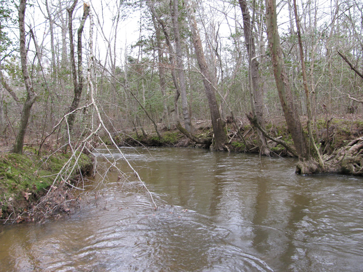 Field photo showing stream conditions at site BRET-450-H-2010-2