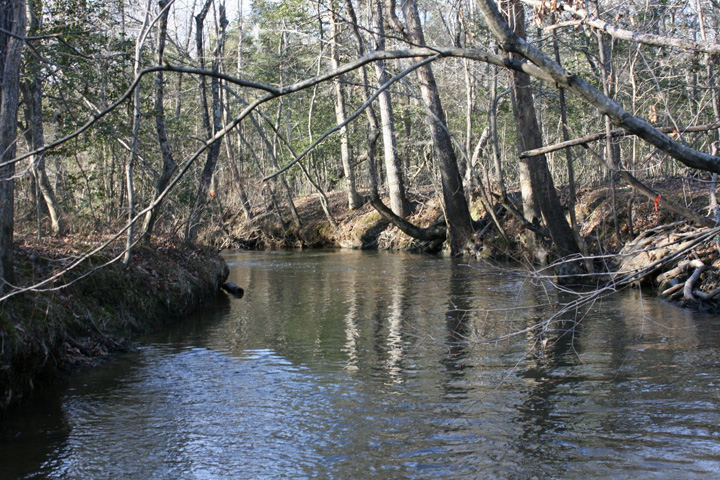 Field photo showing stream conditions at site BRET-450-H-2011-1