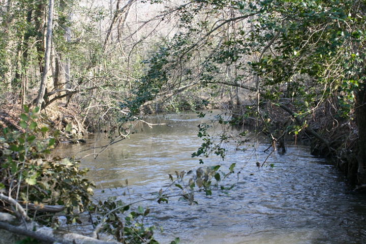 Field photo showing stream conditions at site BRET-450-H-2011-2