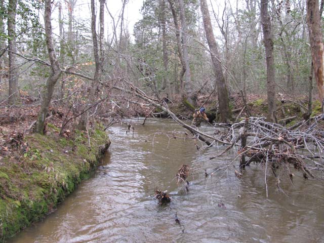 Field photo showing stream conditions at site BRET-450-H-2012-1