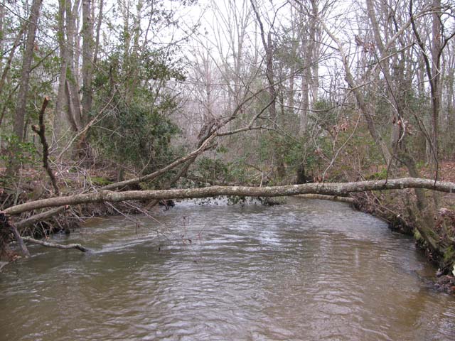 Field photo showing stream conditions at site BRET-450-H-2012-2