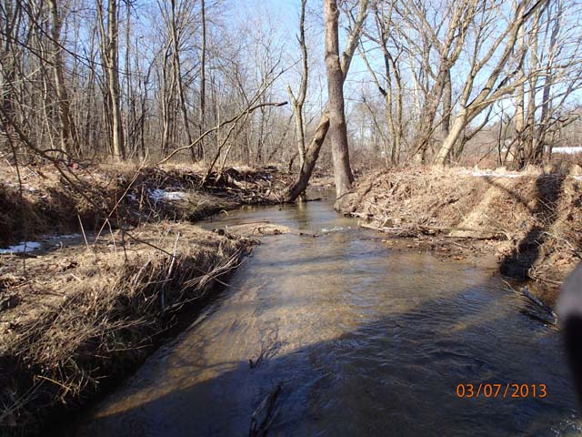 Field photo showing stream conditions at site BRIG-101-A-2013-MidpointDownstream