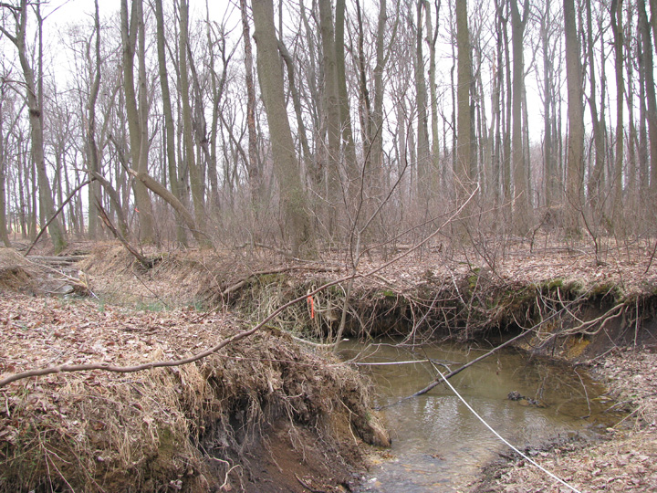 Field photo showing stream conditions at site BRIG-103-R-2009-1