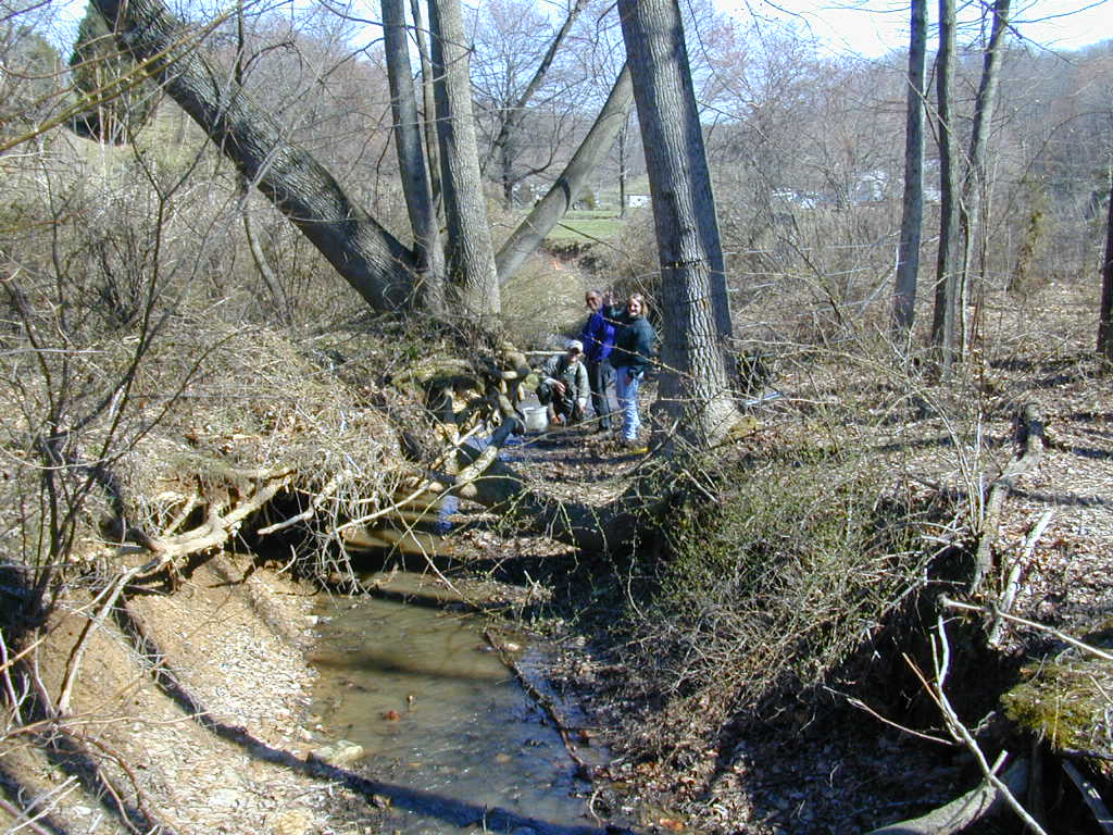 Field photo showing stream conditions at site BRIG-105-R-2000-01_0813