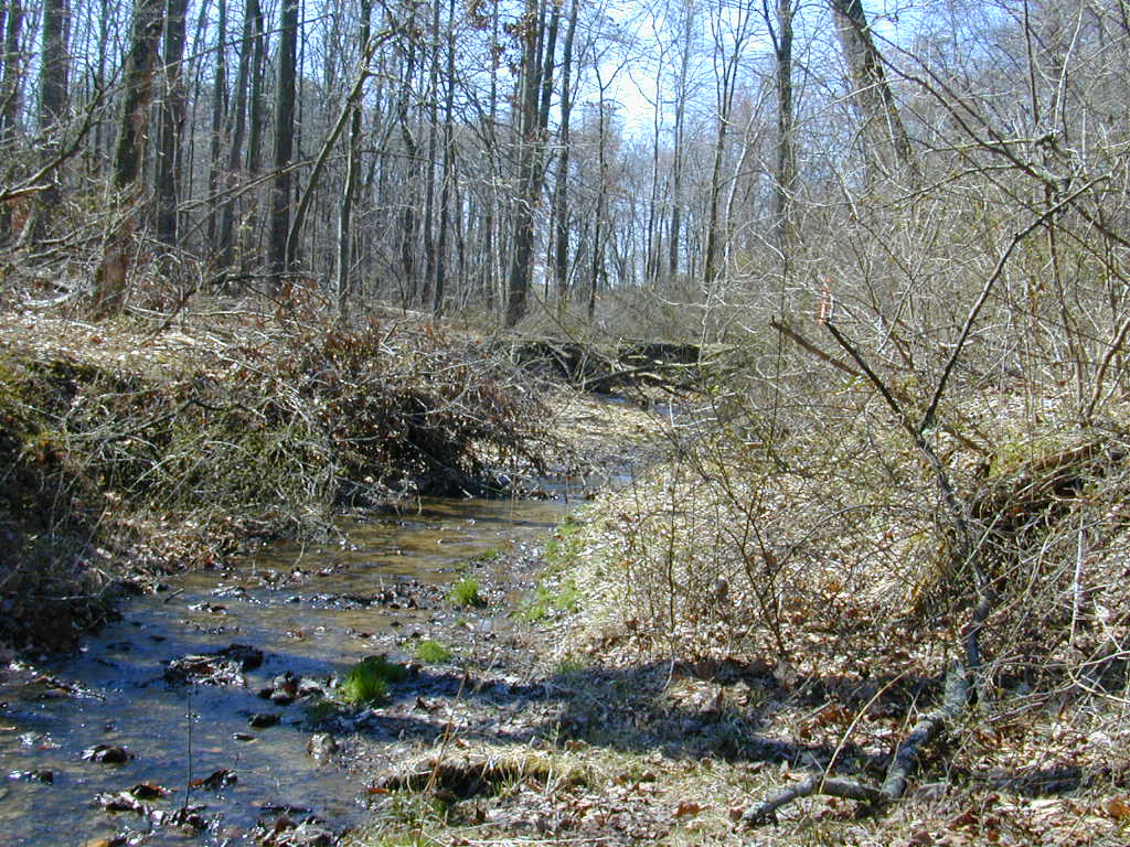 Field photo showing stream conditions at site BRIG-105-R-2000-02_0814