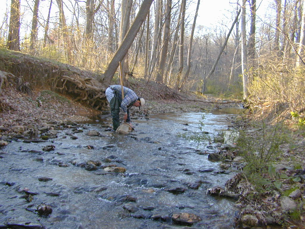Field photo showing stream conditions at site BRIG-111-R-2000-01_0876