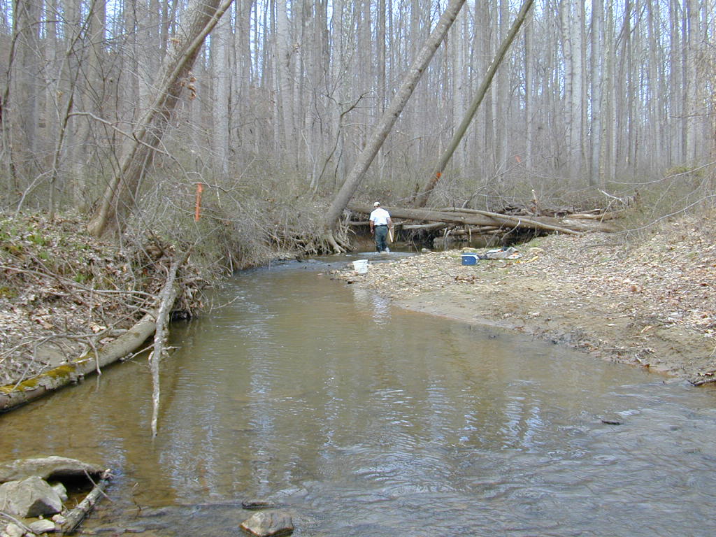 Field photo showing stream conditions at site BRIG-115-R-2000-01_0809