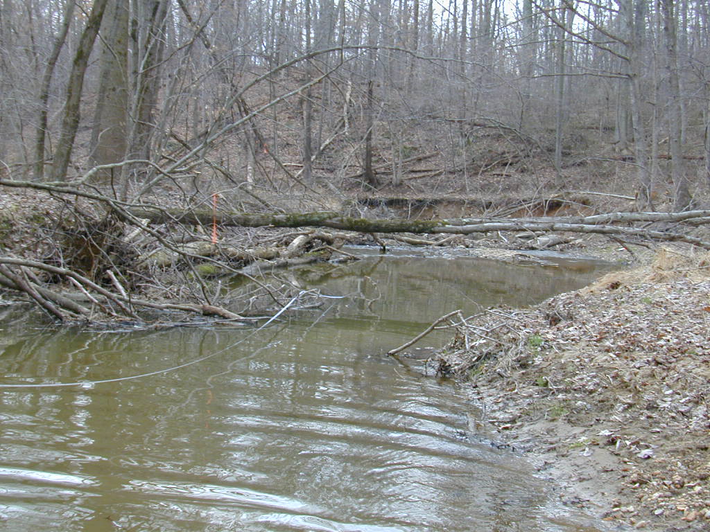 Field photo showing stream conditions at site BRIG-115-R-2000-02_0810