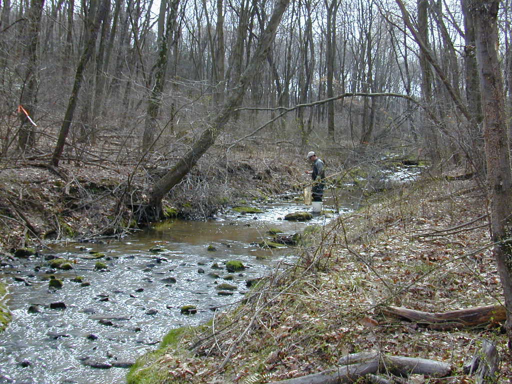 Field photo showing stream conditions at site BRIG-123-R-2000-01_0815