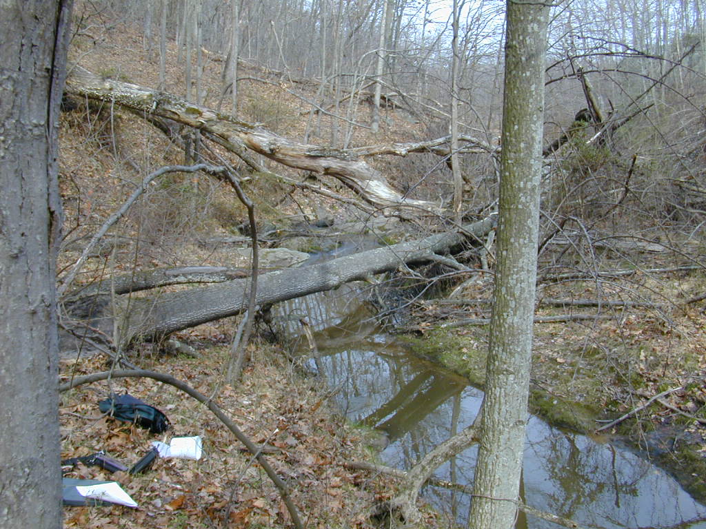 Field photo showing stream conditions at site BRIG-123-R-2000-02_0816