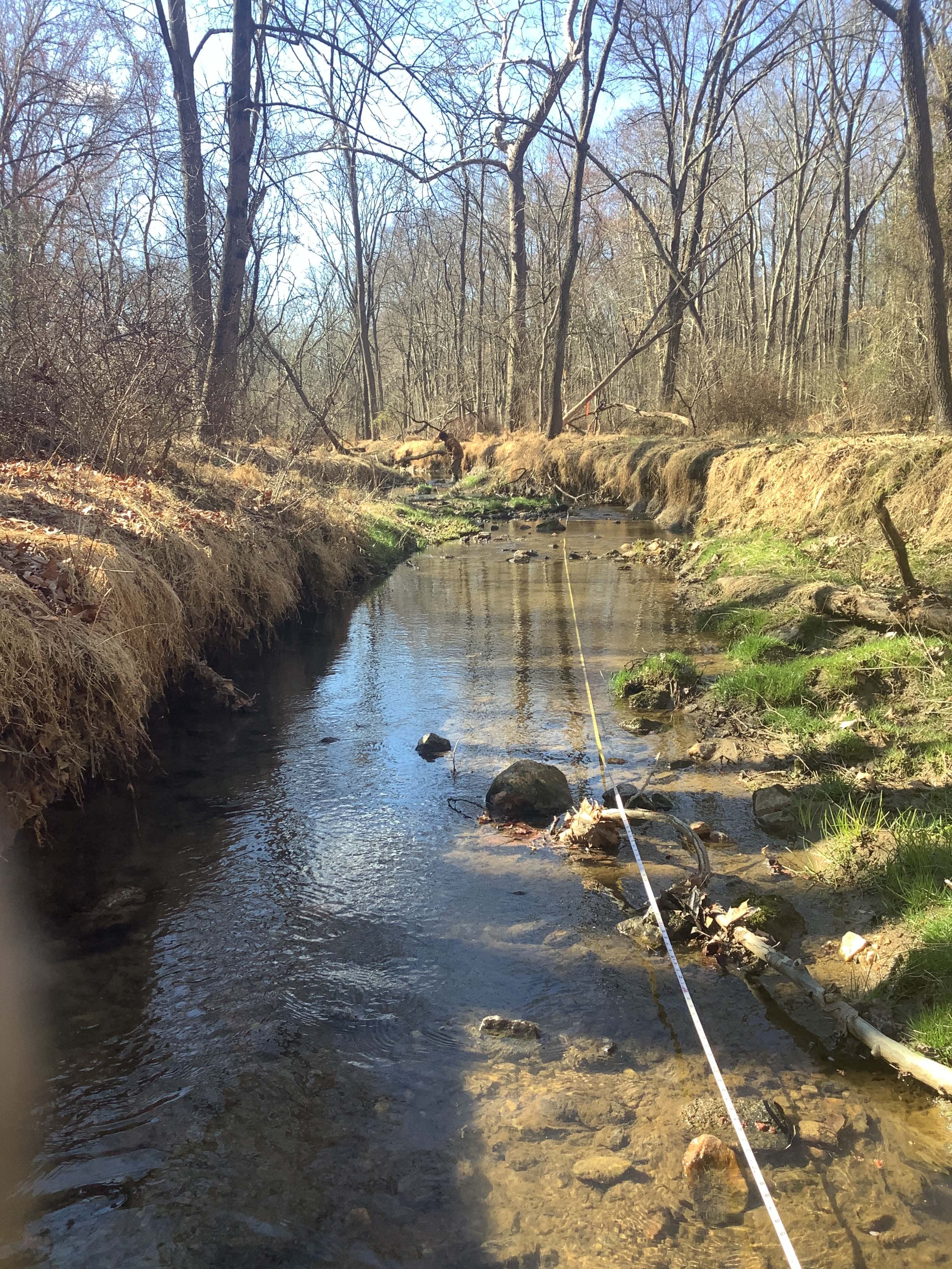 Field photo showing stream conditions at site BRIG-123-R-2023_Midpoint_facing_downstream_