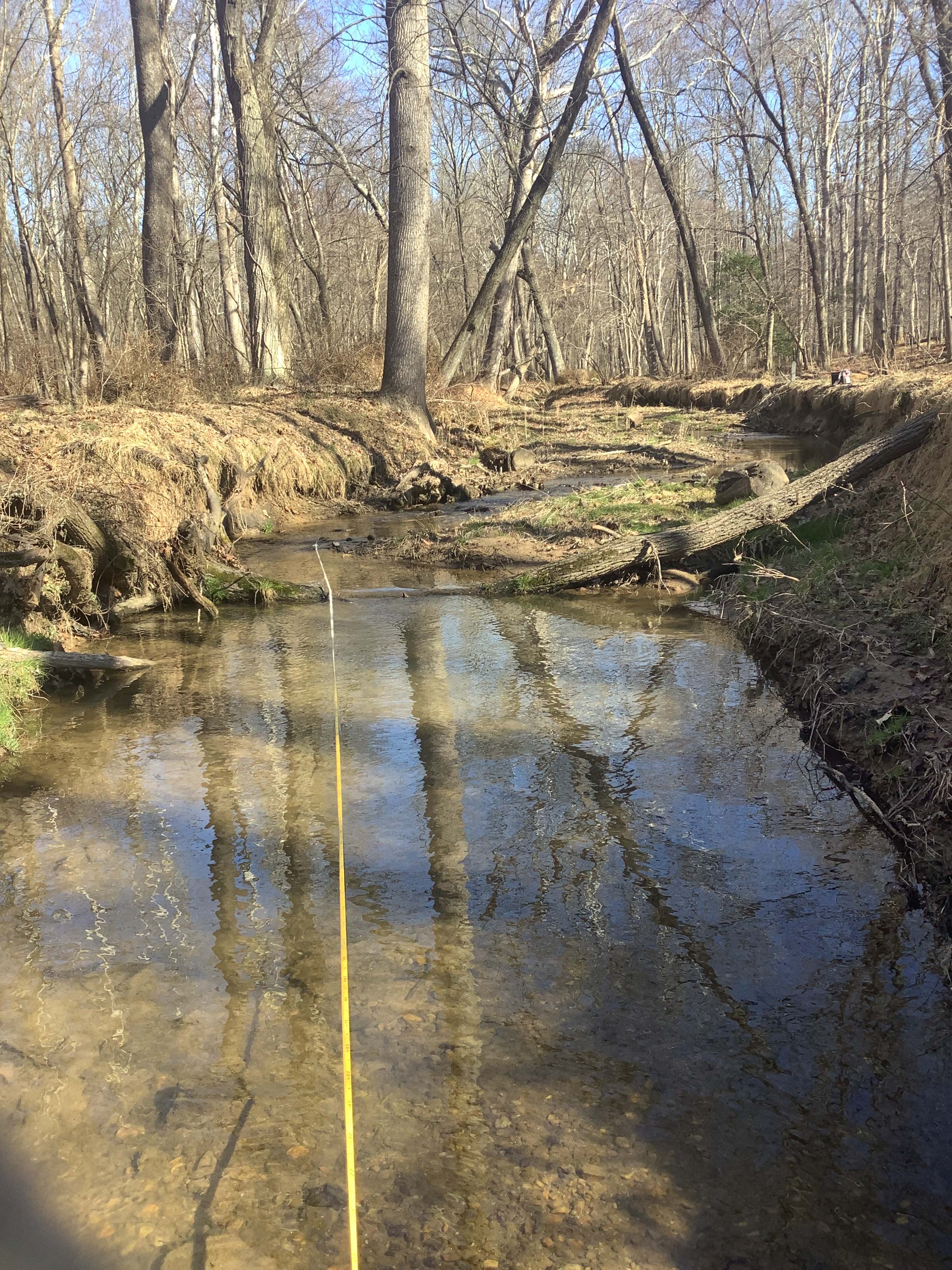 Field photo showing stream conditions at site BRIG-123-R-2023_Midpoint_facing_upstream_