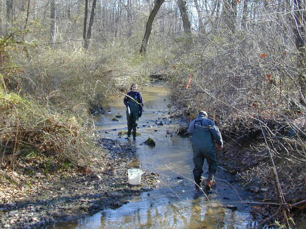 Field photo showing stream conditions at site BRIG-131-R-2000-01_0818