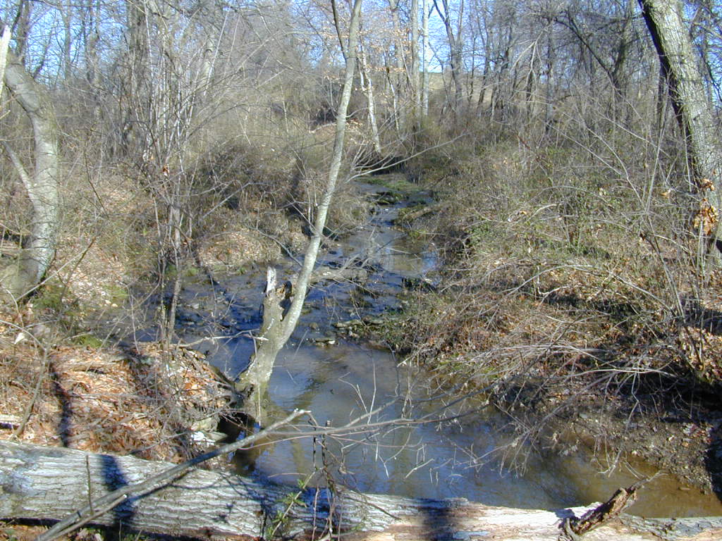 Field photo showing stream conditions at site BRIG-131-R-2000-02_0819