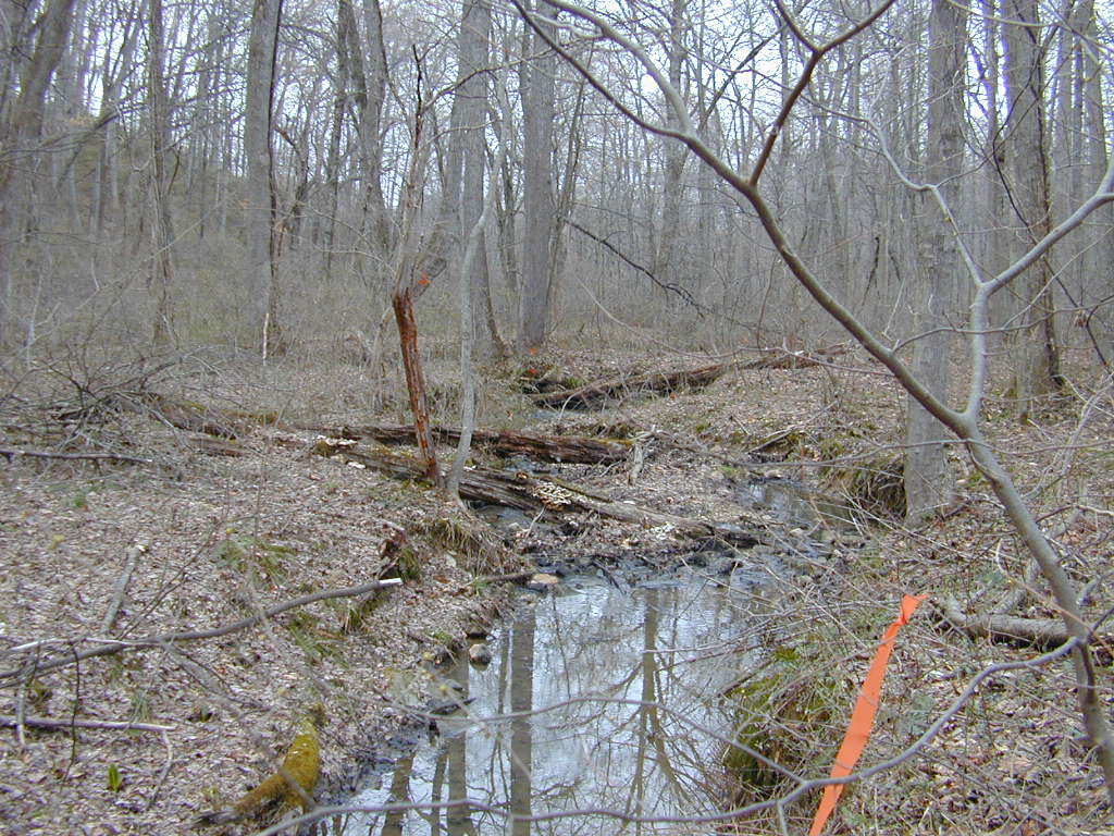 Field photo showing stream conditions at site BRIG-132-R-2000-01_0817
