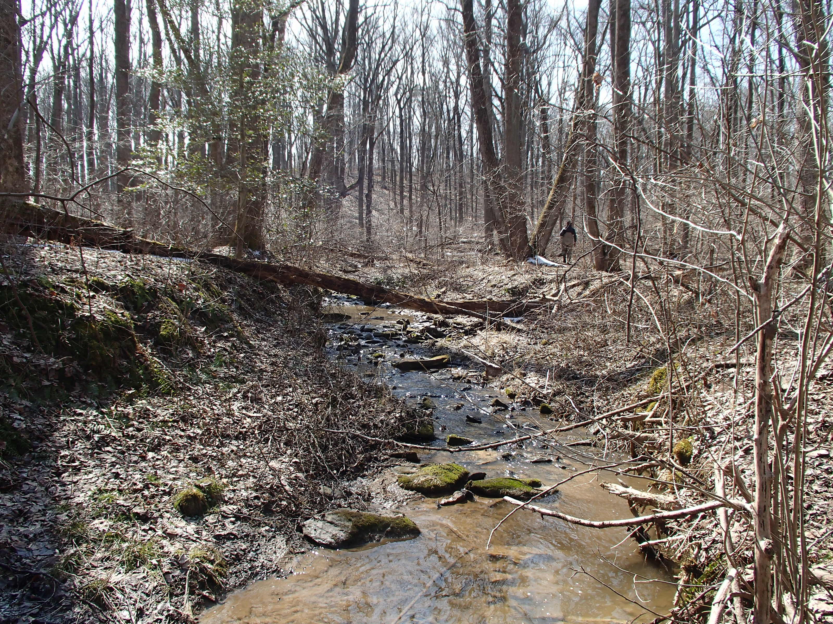 Field photo showing stream conditions at site BRIG-132-R-2014-1