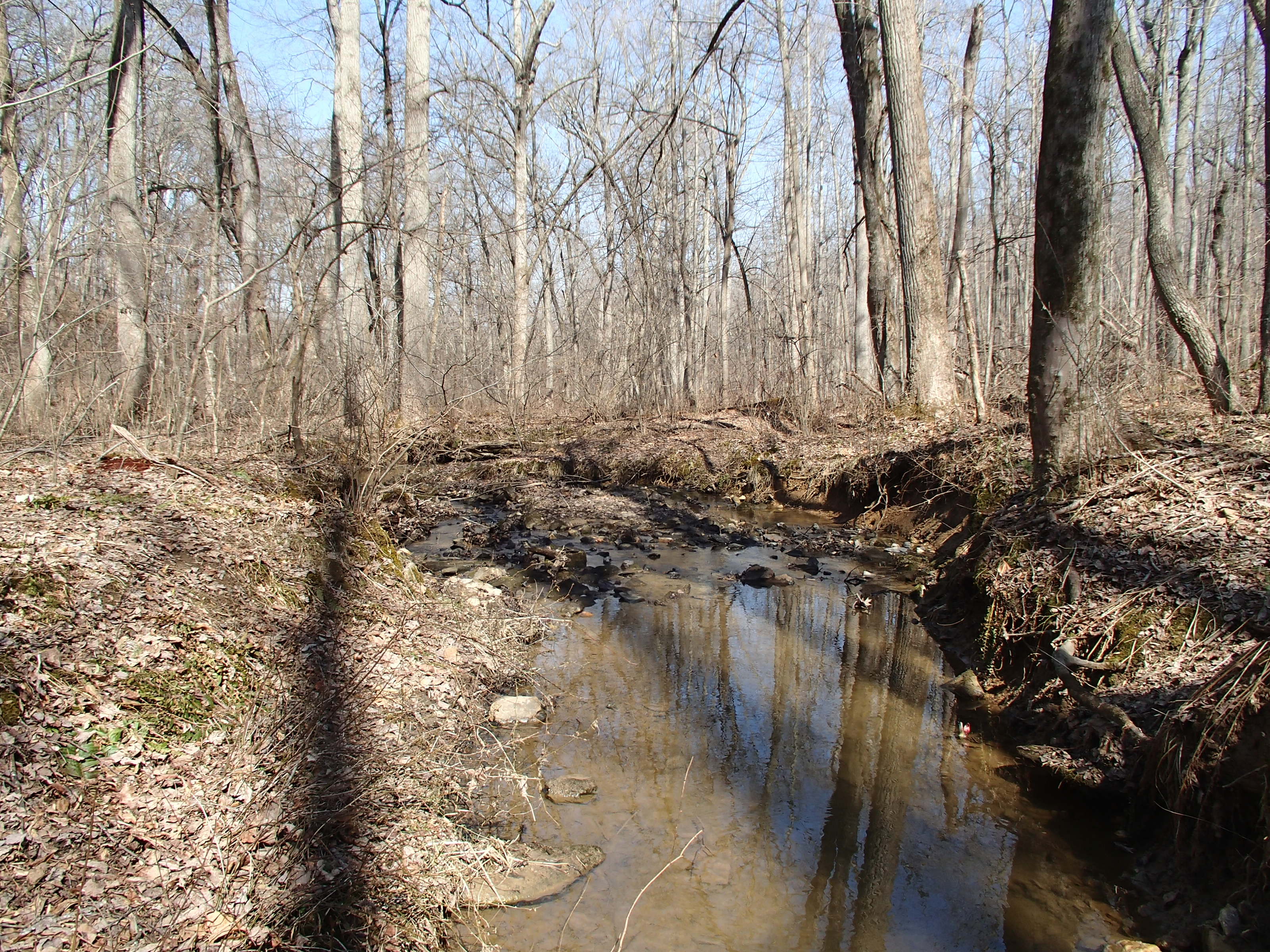 Field photo showing stream conditions at site BRIG-132-R-2014-2