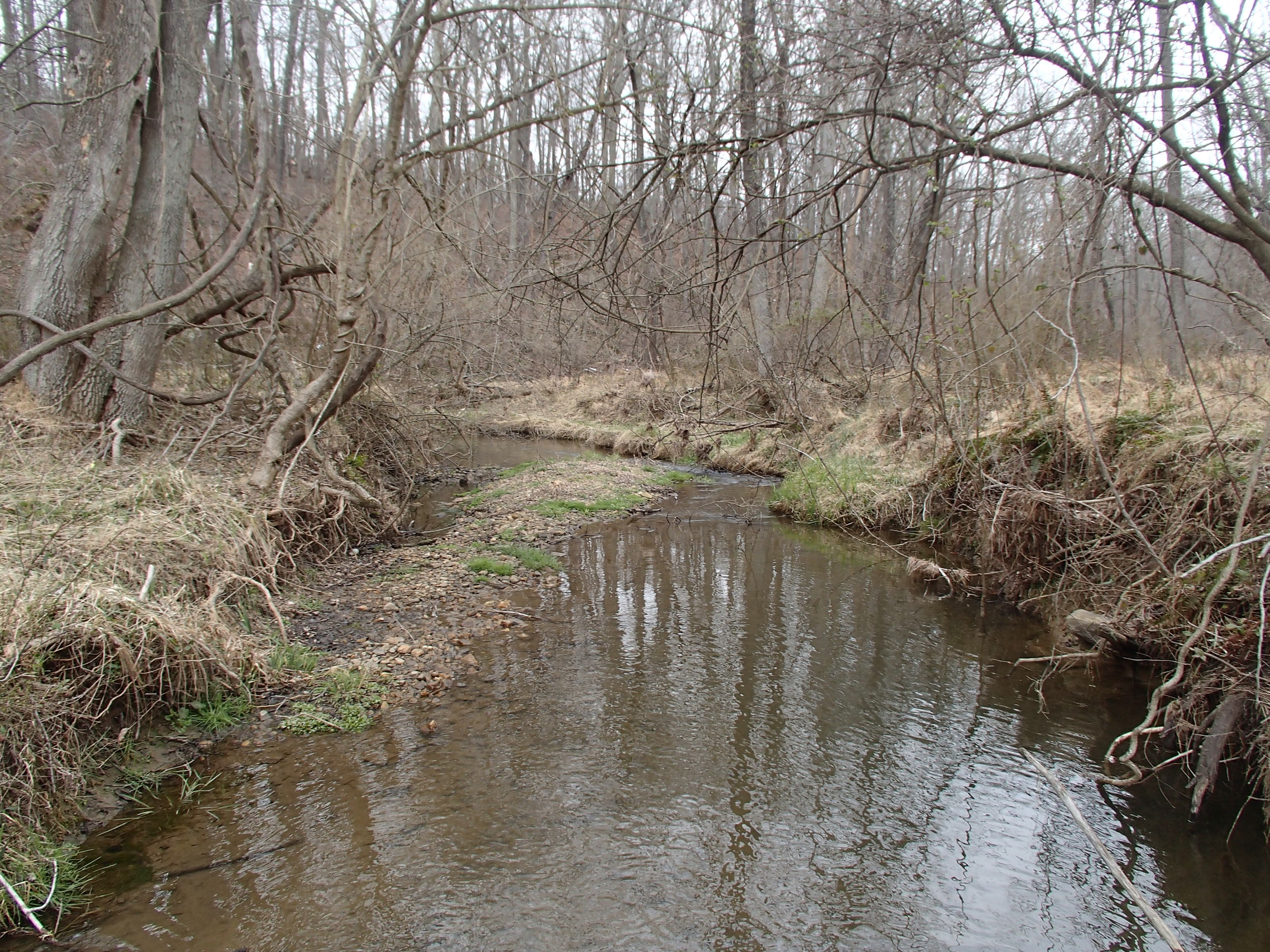 Field photo showing stream conditions at site BRIG-203-R-2017-MidpointLookingDownstream