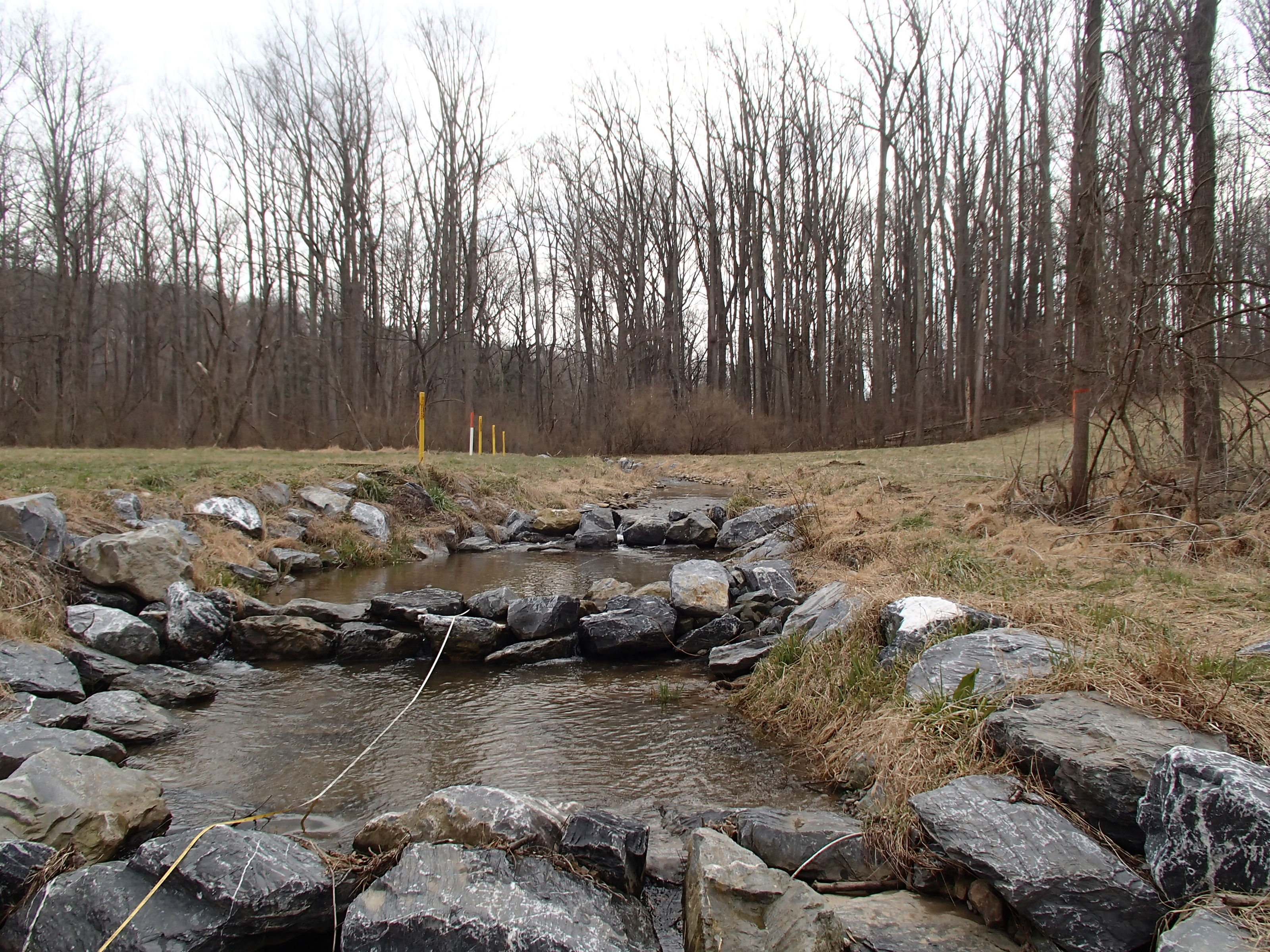 Field photo showing stream conditions at site BRIG-203-R-2017-MidpointLookingUpstream
