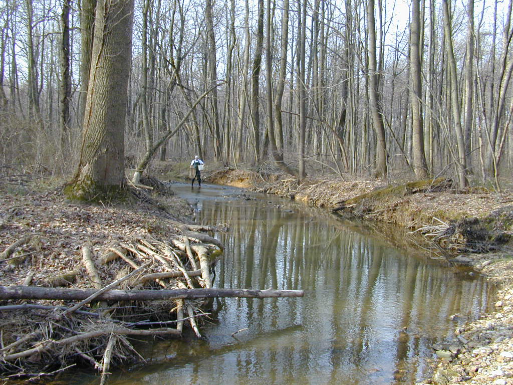Field photo showing stream conditions at site BRIG-206-R-2000-01_0800